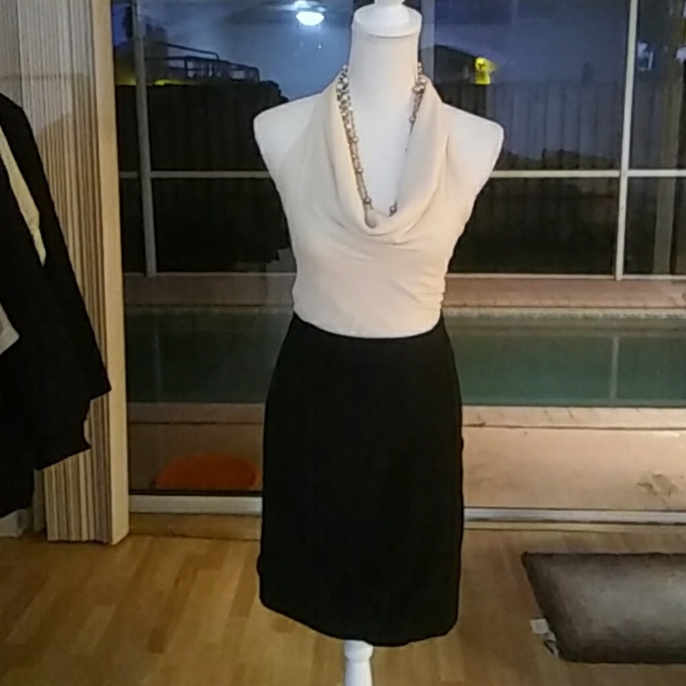 White House black market skirt top included